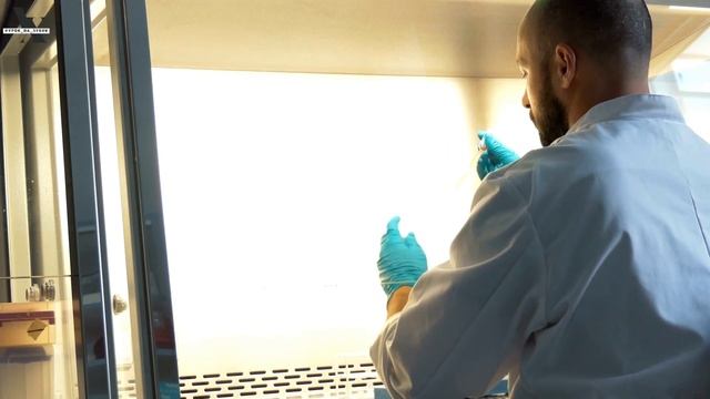 Контрольний вибірковий письмовий переказ тексту наукового стилю / 9 клас смотреть онлайн