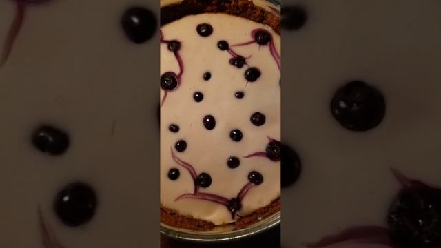 Plant based Blueberry New York Cheesecake 2023 смотреть онлайн