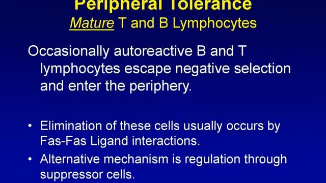 Immune Regulation And Tolerance