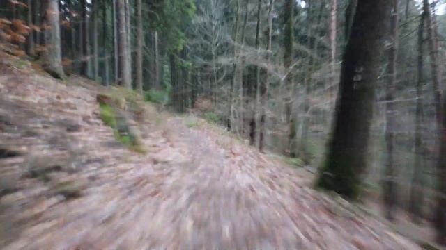 Osmo Pocket on Bike Focus FAIL смотреть онлайн