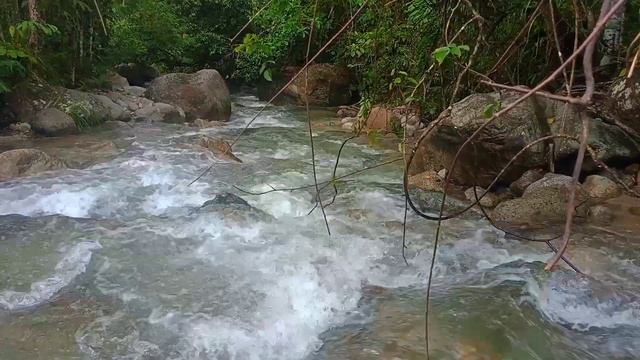 4K Nature Sounds,Sound Of Bubbling Water (Relaxation,Meditation,ASMR) смотреть онлайн