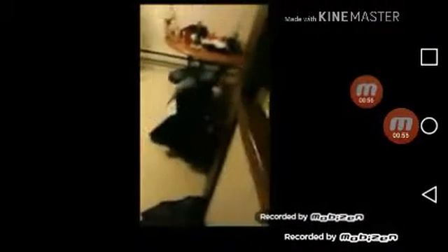 Как играет трусквард в варфейс