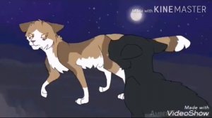 Коты воители -клип Задыхаюсь