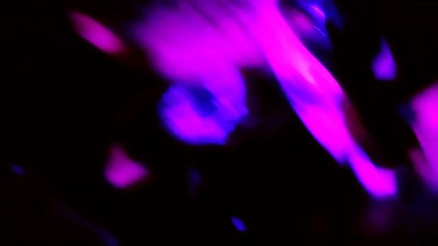 HORROR PUNK fest in SPB Zoccolo club [NIM VIND - CRIMSON GHOST - ARGYLE GOOLSBY] смотреть онлайн