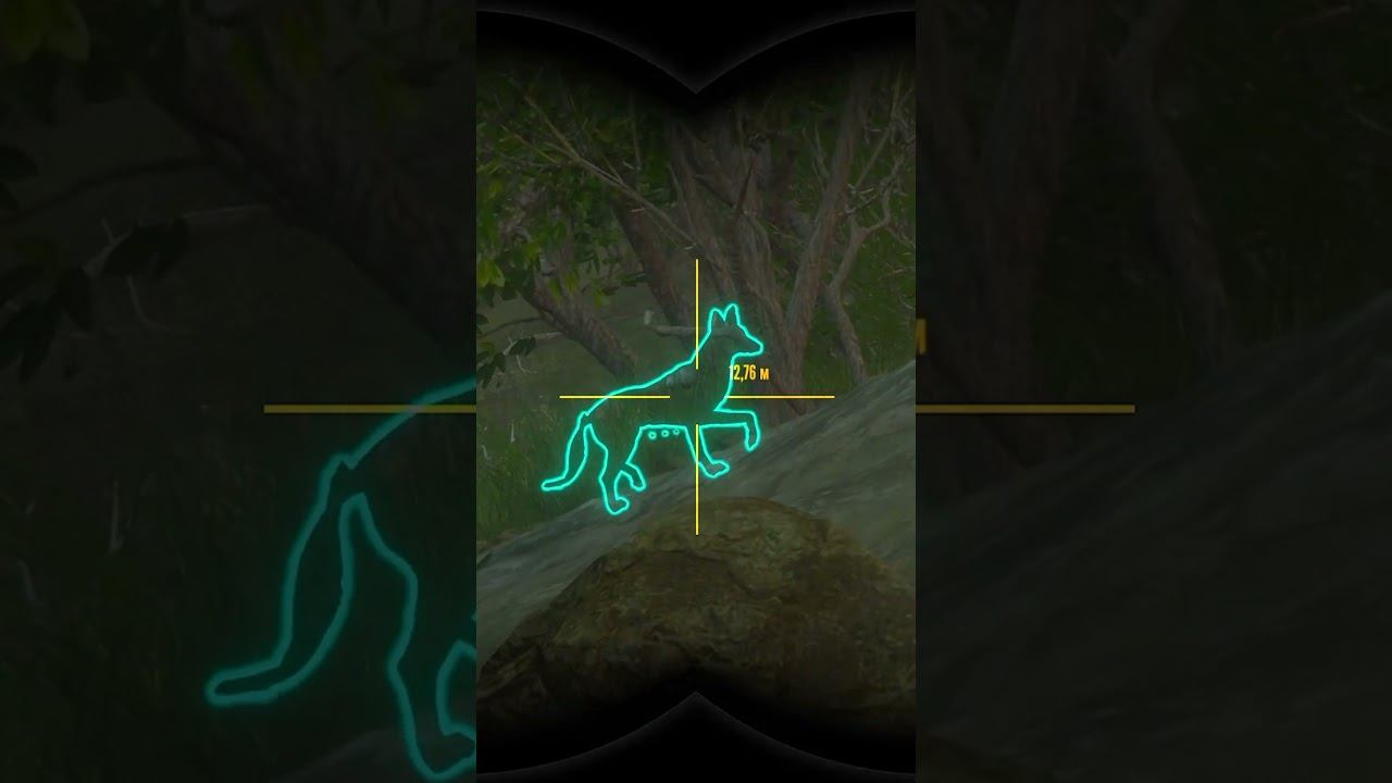 336 Сиськи светятся The hunter call of the wild, #Лучшее, #Shorts #shortsvideo смотреть онлайн