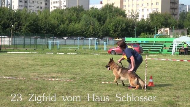 23 Zigfrid vom Haus Schlosser смотреть онлайн