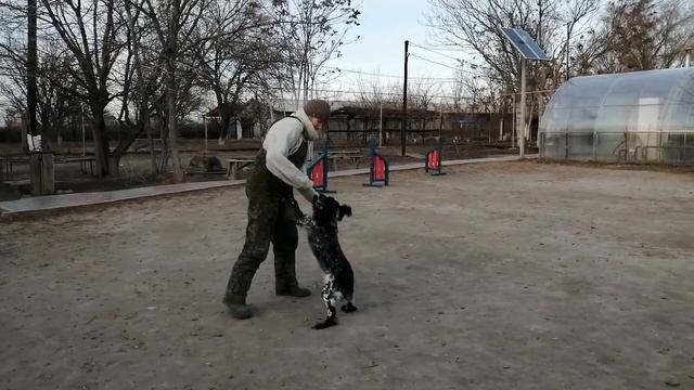 Стоп рука смотреть онлайн