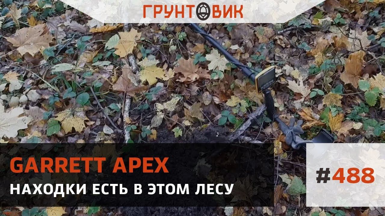 Находки есть в этом лесу, копаем с Garrett ACE Apex