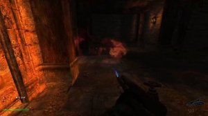 return to castle wolfenstein мод realrtcw все секреты Эпизод 21