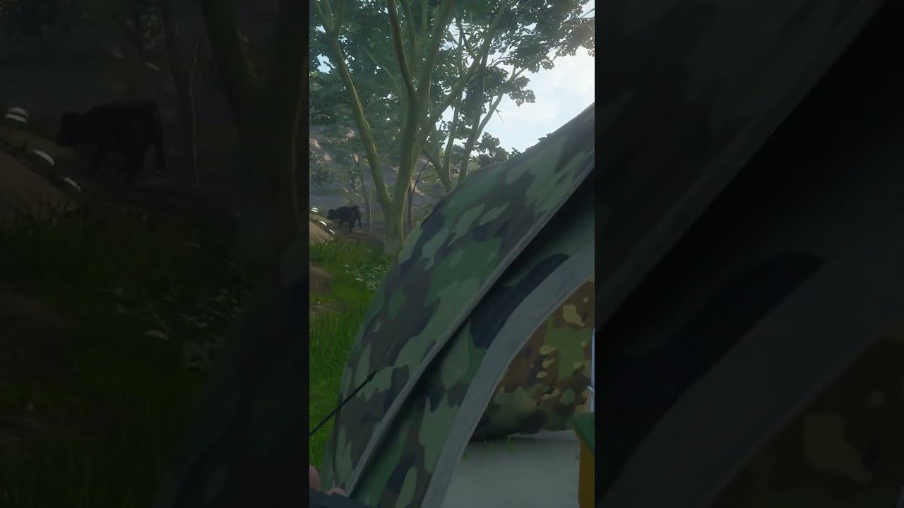 335 Выбросило из палатки The hunter call of the wild, #Лучшее, #Shorts #shortsvideo смотреть онлайн