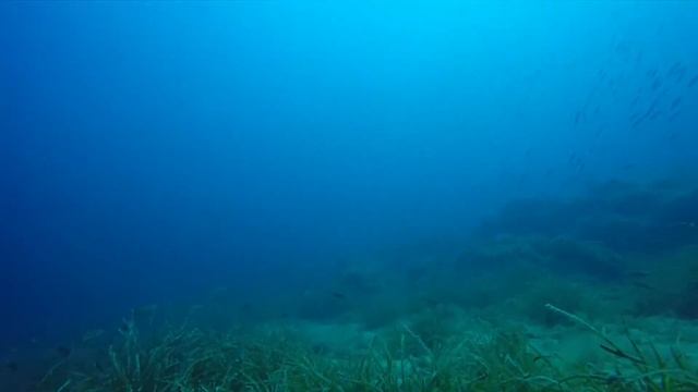 Balise de l'Esquillade - 08 Août 2015 - Zone 30m смотреть онлайн