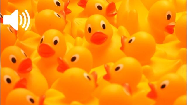 Duck Toy Sound Effect смотреть онлайн
