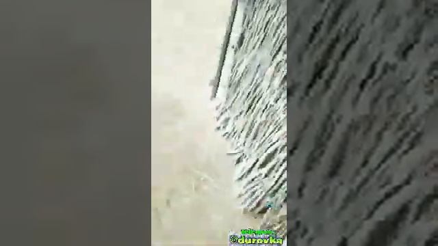 Ну вот и дурак! смотреть онлайн