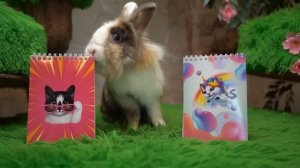 Кролик Баффи