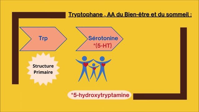 La Citrouille, les Cucurbitacées, riches en acides aminés (tryptophane), mélatonine, bien-être смотреть онлайн