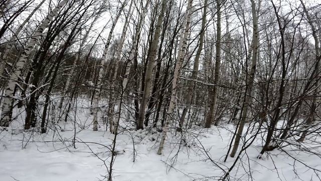 За зайцем в пятницу 13. смотреть онлайн