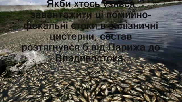 Екологічний проект "Забруднення води" смотреть онлайн