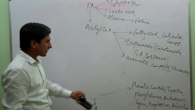 makhanacademy.com-plant physiology-respiration -amphibolicpathway part5 смотреть онлайн