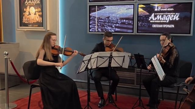 Новосибирск предновогодний смотреть онлайн