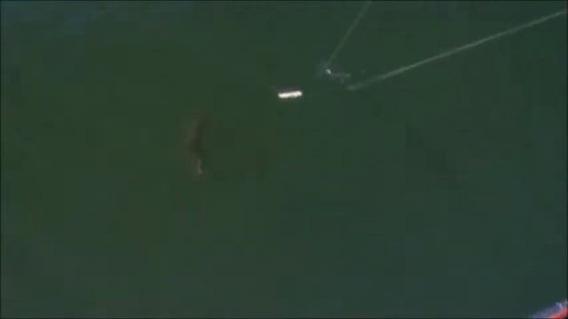 Robertson Lures CHARLIE&RANDY on the EJECTOR WIDE WALKER смотреть онлайн