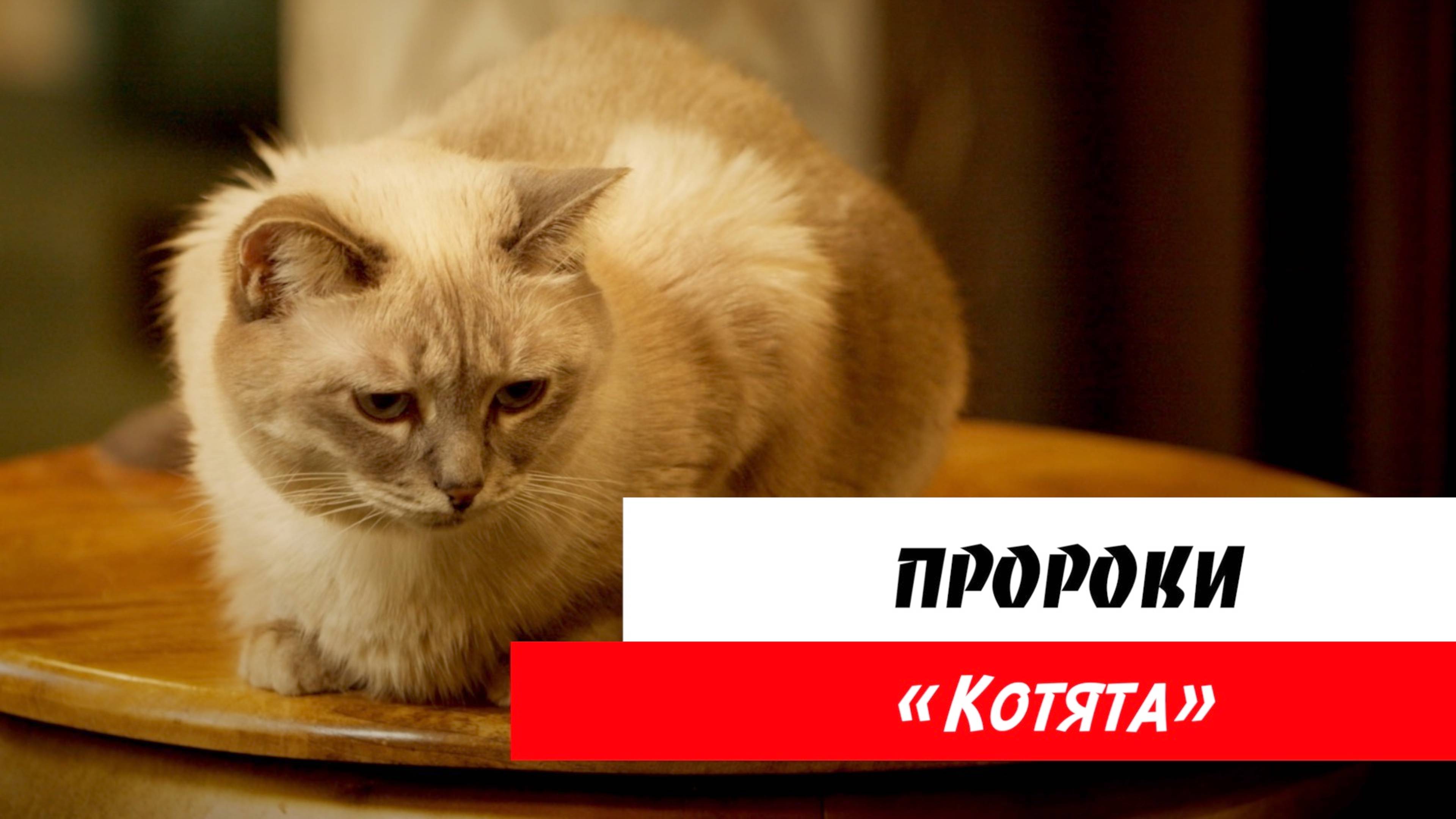 Пророки: «Котята» смотреть онлайн