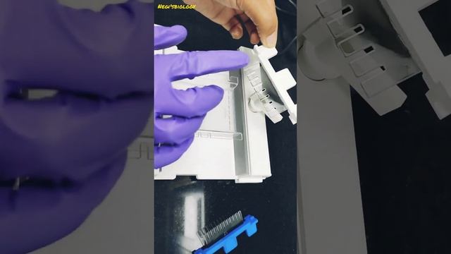 wells in agarose gel..... #agraose gel electrophoresis #biology #biotechnology# lifescience #tech смотреть онлайн