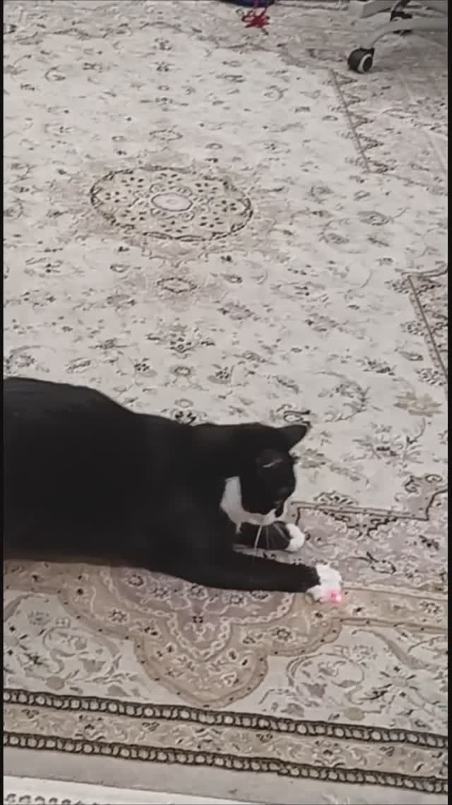 Гонки за лучом смотреть онлайн