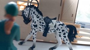 Один день глазами лошади/Schliech/Лошади/