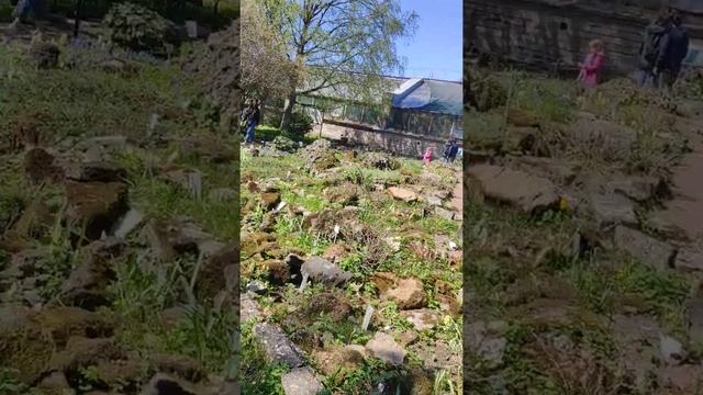 ботанический сад#9 смотреть онлайн