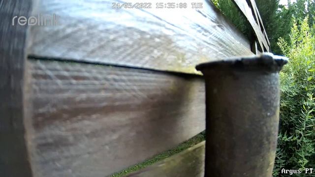 Reolink Argus 2 PT: Pan and tilt solar camera смотреть онлайн