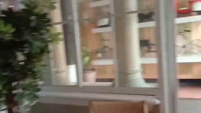 pesta keboen resto, nostalgia semarang tempo doeloe смотреть онлайн