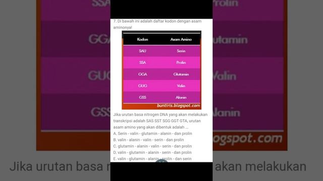 Pembahasan SOAL UN BIOLOGI TENTANG MATERI GENETIK смотреть онлайн
