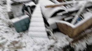 Отзыв На сколько хватило мини-экскаватора Риппа319