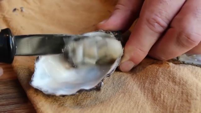 6 Romantic Dishes to Make for Your Valentine смотреть онлайн