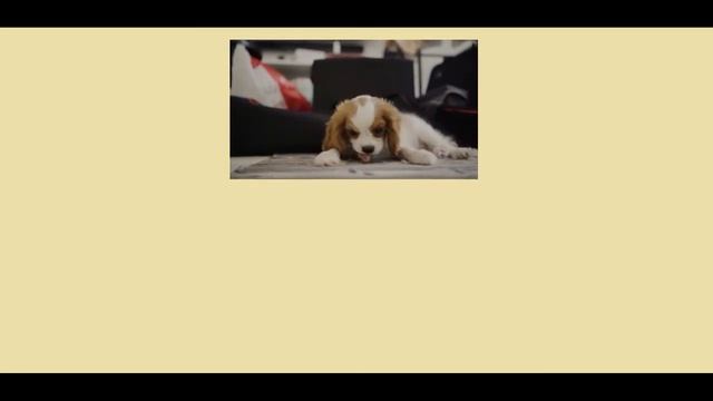Английский для начинающих. Урок 3. Артикли (2 часть) смотреть онлайн