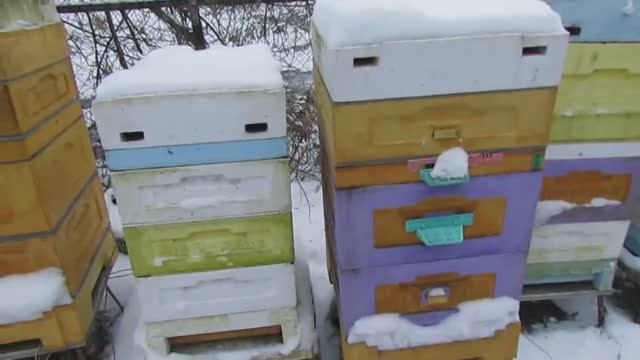 14.12.2024 - уменьшаю вентиляцию перед морозами, при зимовке пчел на воле, для экономии кормов 2 смотреть онлайн