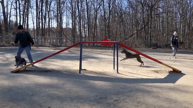 K9 Gunner Memorial Dog Park review - Woodbridge, VA смотреть онлайн