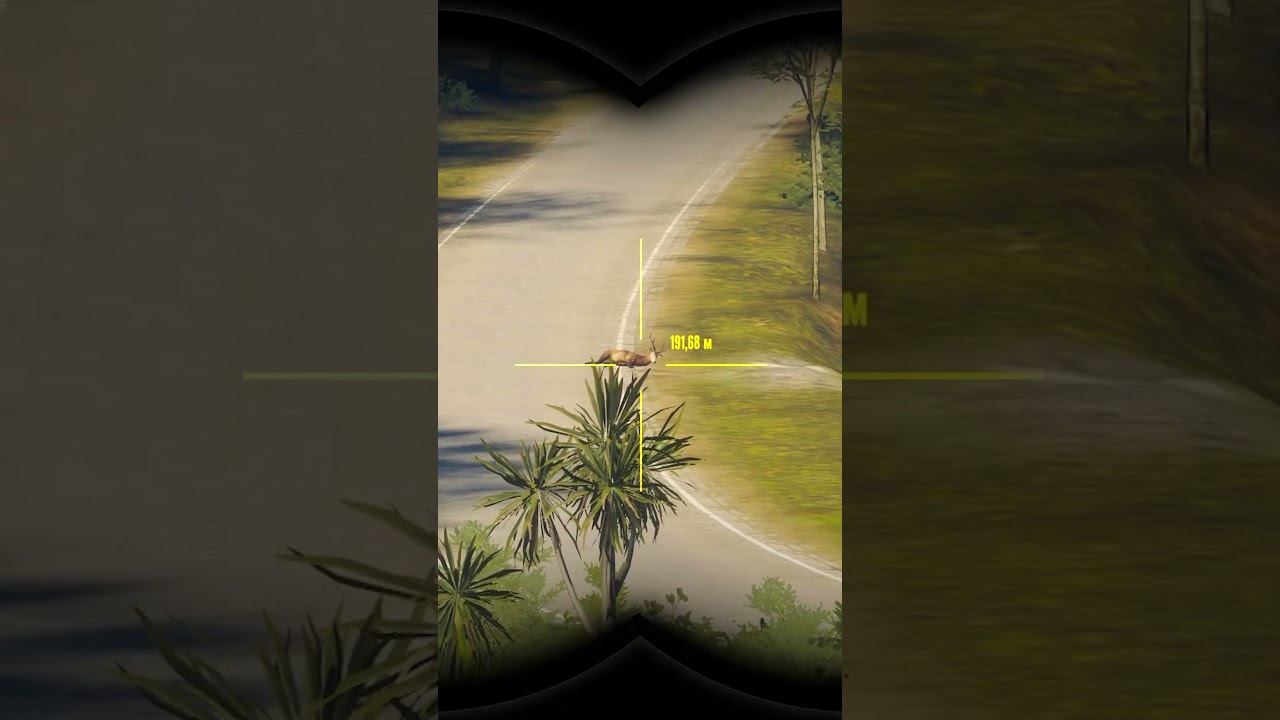 364 Ну я прилягу, The hunter call of the wild, Лучшее, Shorts смотреть онлайн