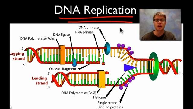 DNA replication смотреть онлайн