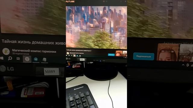 рабочие будни #мультфильмы #тайная жизнь домашних животных 2