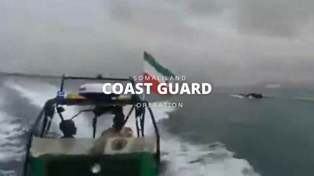 coast guardSL inspections смотреть онлайн