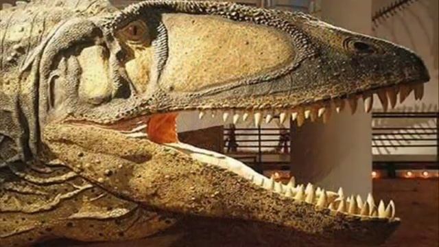 Tribute To Carcharodontosaurus