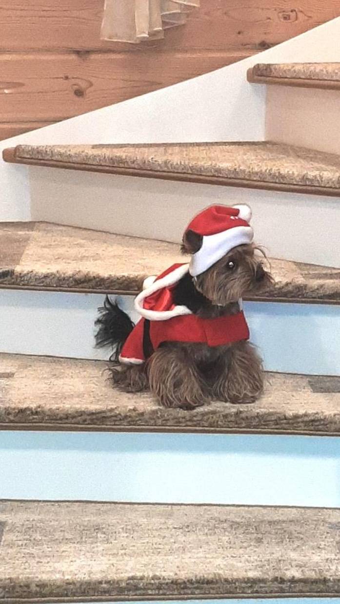 У нас новогодние скидки до  15% на комплекты ковриков для лестницы!