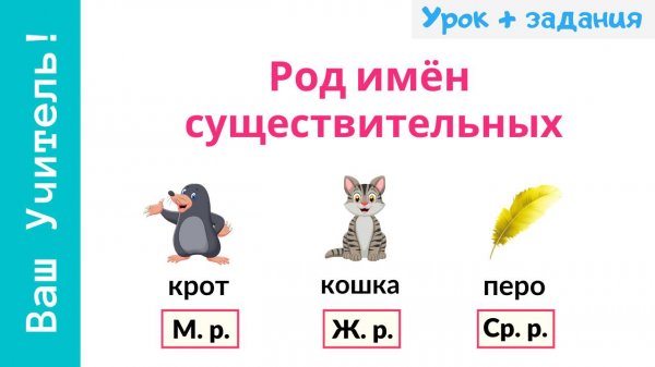 Род имен существительных. Как определить род существительных?