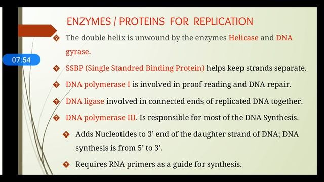 DNA Replication (B.Sc 4th Sem Minor) смотреть онлайн