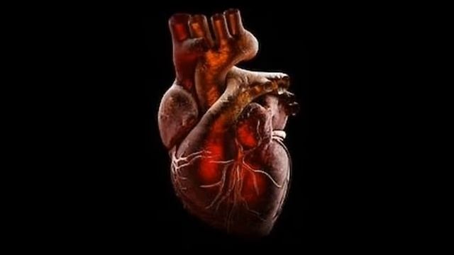 Give your heart a boost with Carnitine! смотреть онлайн