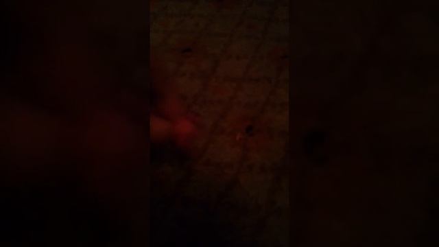 Фигурки из пластилина Юные титаны вперед смотреть онлайн
