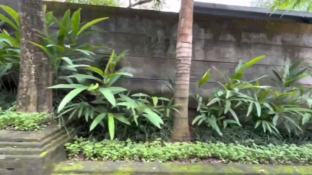 #Bali Hotel Indigo Bali Seminyak Beach, an IHG Hotel | baggy ride | hotel video tour. смотреть онлайн