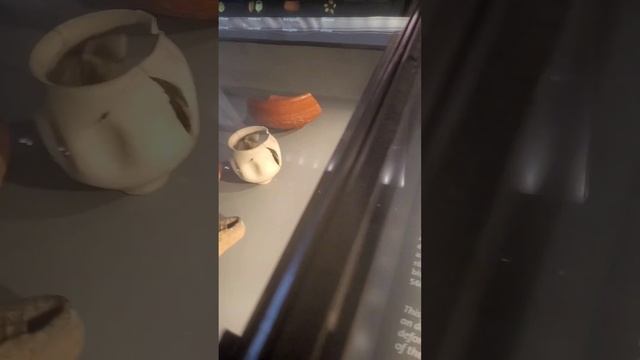 🙀древние Люди🤩происхождение Человека🌟NaturhistorischesMuseumWien🌟 смотреть онлайн