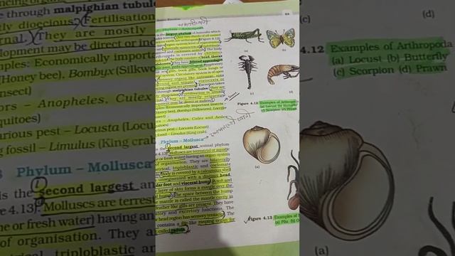 NEET kA STUDENT смотреть онлайн